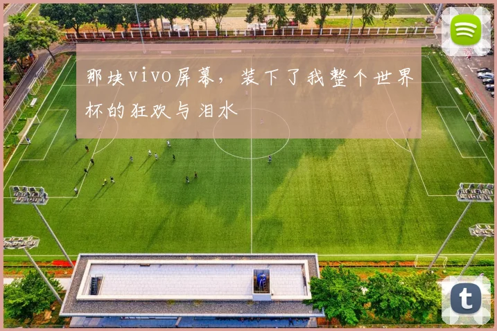那块vivo屏幕，装下了我整个世界杯的狂欢与泪水